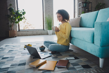 Young woman relaxing with coffee while working on laptop, enjoying natural light in cozy living room