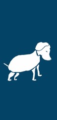 Vector illustration of dog, with blue background
