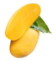 Single ripe yellow mango fruit and half with green leaves and water droplets in stack isolated on white background with clipping path
