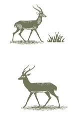 Deer vector set, Isolate on white background, commercial use