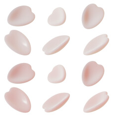 3D Cherry Blossom Petals in Light Pink – 6 Angles, Cute  Spring Element