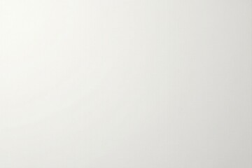 Fototapeta premium A Clean, Simple, and Elegant Off-White Background Ideal for Various Design Applications and Projects