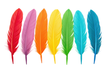 PNG Colorful array of seven vibrant feathers in rainbow order