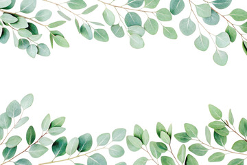 Obraz premium PNG Green eucalyptus leaves frame on dark background
