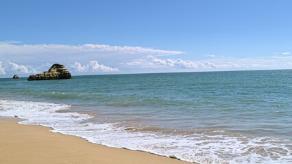 A deserted, untouched beach with nothing but nature's beauty. 
