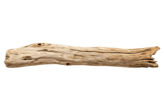 PNG Detailed driftwood log with natural texture and weathering