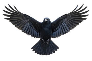 PNG Majestic raven in flight with outstretched wings