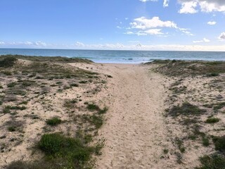 The beach at its brightest, with vibrant waves under peak sunlight. 