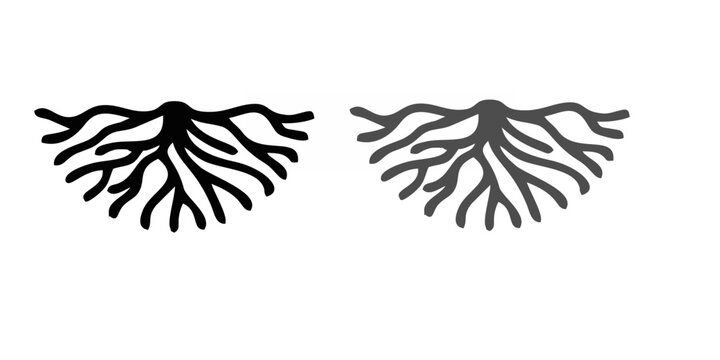 abstract life root logo icon vector on transparent background