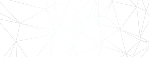 Geometric white background, background with thin lines, background with a modern, minimalistic style. White color, white texture. Modern abstract geometric minimal background vector