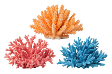 PNG Vibrant coral reefs: pink, orange, and blue marine life display