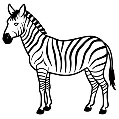 Abstract Zebra Line Illustration