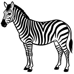 Abstract Zebra Line Illustration