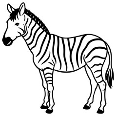 Abstract Zebra Line Illustration