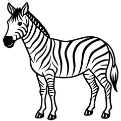 Abstract Zebra Line Illustration