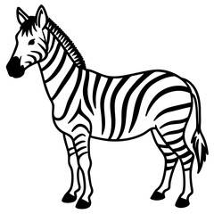 Abstract Zebra Line Illustration