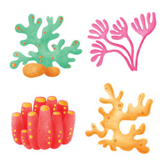 Colorful Coral Reef Under the Sea