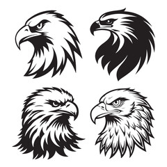 Eagle in Flight Detailed Vector Design
