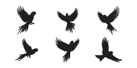Obraz premium Bird Silhouette Vector Set – Black Bird Clipart Illustrations