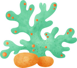 Colorful Coral Reef Under the Sea