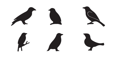 Fototapeta premium Bird Silhouette Vector Set – Black Bird Clipart Illustrations