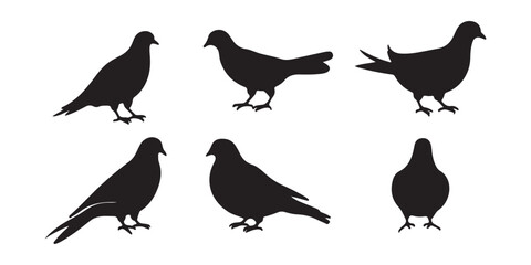 Fototapeta premium Bird Silhouette Vector Set – Black Bird Clipart Illustrations