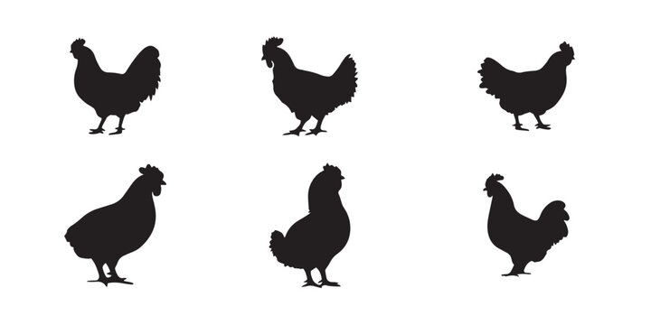 Chicken Silhouette Vector Set &ndash; Hen Clipart Farm Animal Graphics