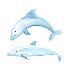 Two dolphins watercolor illustration set isolated on white. Hand-drawn blue monochromatic clip art perfect for notebooks, posters, wallpaper, tote bags, cards, eco, tourism, room decor and design