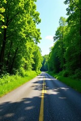Obraz premium A sun-drenched asphalt road, lined with vibrant green trees, stretches towards a distant point, promising a journey through nature's tranquil embrace.