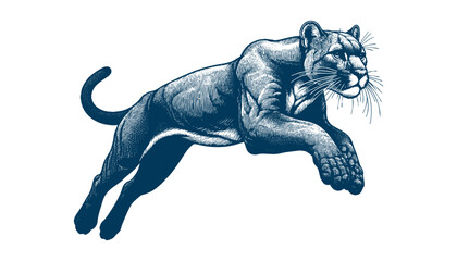 Obraz premium puma vector