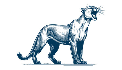 Obraz premium puma vector