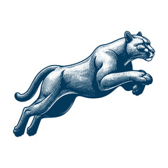 Obraz premium puma vector