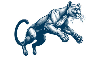 Obraz premium puma vector