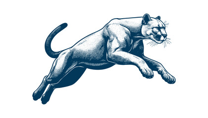 Obraz premium puma vector