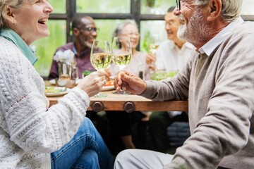 A group of diverse retired friends enjoying a meal together. Senior friends, toasting with wine. Senior couple sharing a joyful meal, diverse retired friends. Cheers with wine glasses at lunch.