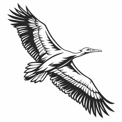 Monochrome Vector Illustration Of A Pelican Flying With Outstretched Wings Gracefully