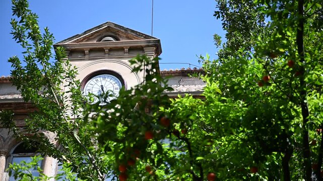 Hortensia Herrero Art Center Museum in Valencia and orange tree