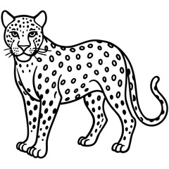 Leopard Line Art Vector on White