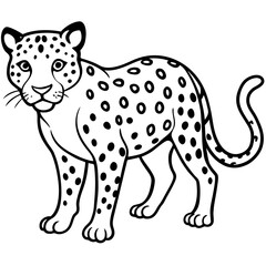 Leopard Line Art Vector on White