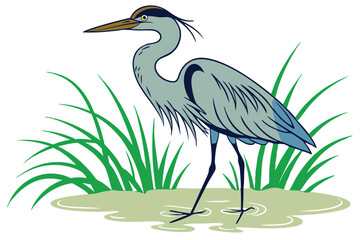Great blue heron Ardea cinerea, a wild grey bird with a long beak, stands wading in the water, fishing