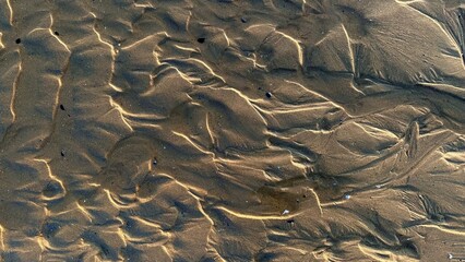 Sandy Taupe Beach with Tidal Sand Ripples in Earthy Brown Tones, Selective Focus, Copy Space