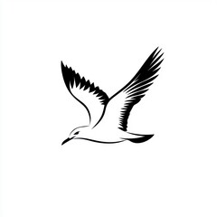 Obraz premium Soaring Seagull