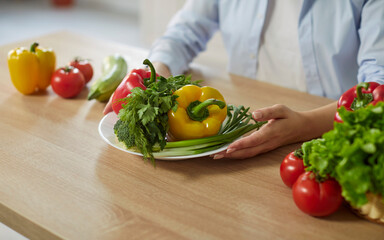 Vegetable assorted plate close up, fresh red, green pepper at dietary consultant desk, female nutrition specialist consulting, developing healthy diet, dietary programme, new meal plan, serving