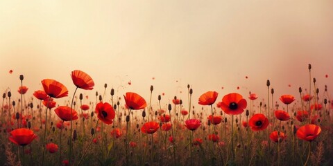 Fototapeta premium Serene Sunset Landscape Featuring Vibrant Red Poppies in a Verdant Field