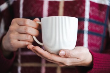 Close-up of hands holding a white mug. The person wears a red and white sweater. Warmth and comfort are conveyed through the mug and sweater. Woman holding a big white tea cup in winter.