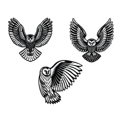 Fototapeta premium Majestic eagle with angel wings set of birds vector illustration