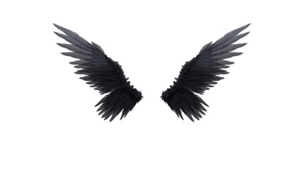 Angel Wings, Devil Wings, Wings Use White Background