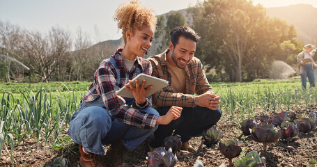 Farming, tablet or team by crops for inspection, development or quality assurance for sustainable...