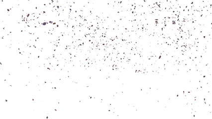 Beautiful Leaf Falling  Use White Background