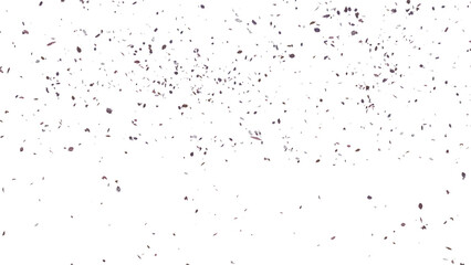 Beautiful Leaf Falling  Use White Background